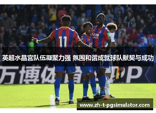 英超水晶宫队伍凝聚力强 氛围和谐成就球队默契与成功